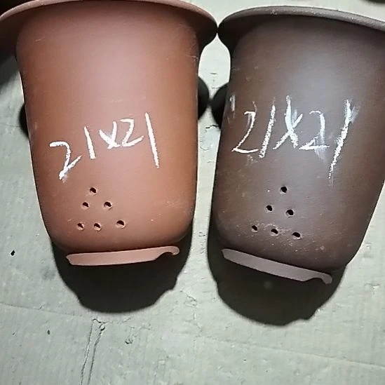 紫砂20CM（含）-50CM（不含）大红大紫金钟两个微瑕