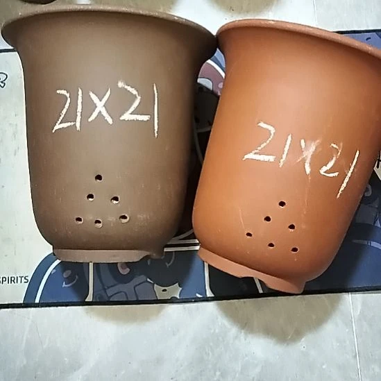 紫砂20CM（含）-50CM（不含）大红大紫金钟两个微瑕