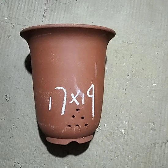 紫砂20CM（含）-50CM（不含）红泥福利金钟微瑕