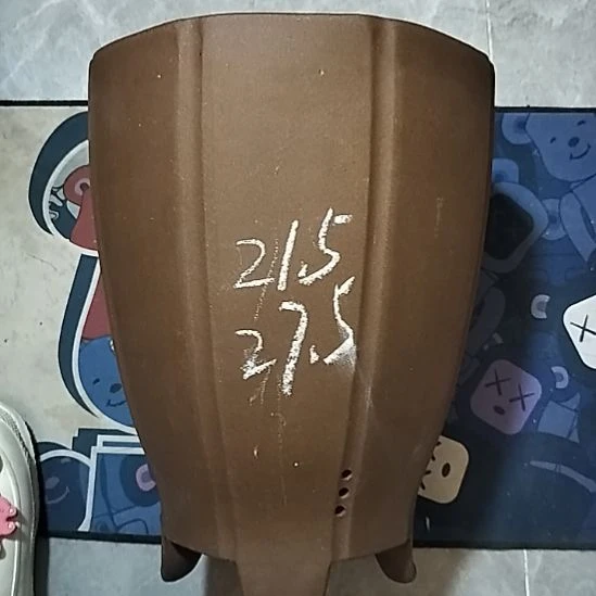 紫砂20CM（含）-50CM（不含）八爪鱼微瑕