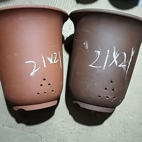 紫砂20CM（含）-50CM（不含）大红大紫金钟两个微瑕