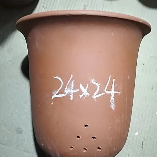 紫砂20CM（含）-50CM（不含）红泥特大金钟瑕疵一个