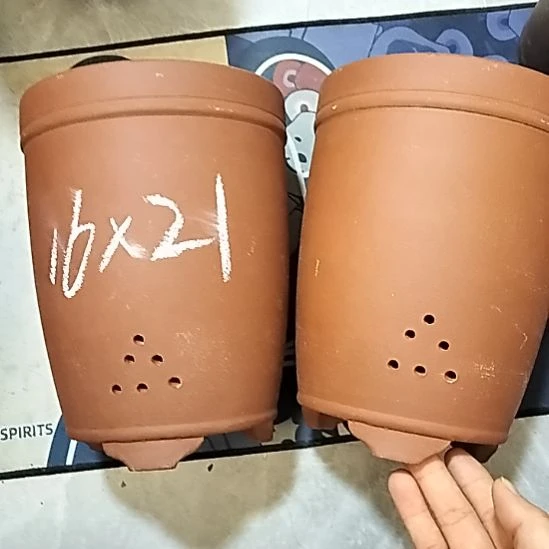 紫砂20CM（含）-50CM（不含）红泥三线两个微瑕