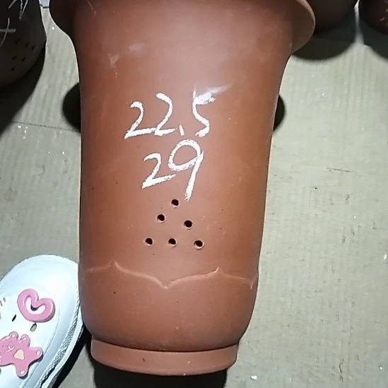 紫砂20CM（含）-50CM（不含）红泥莲花金钟微瑕一个