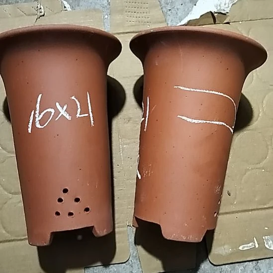紫砂20CM(含)-50CM(不含)小红兰花两个微瑕点点