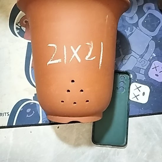 紫砂20CM（含）-50CM（不含）大红金钟两个微瑕