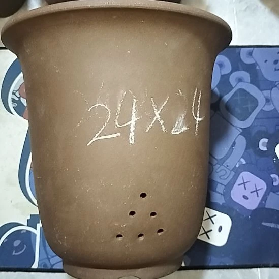 紫砂20CM（含）-50CM（不含）特大金钟瑕疵一个