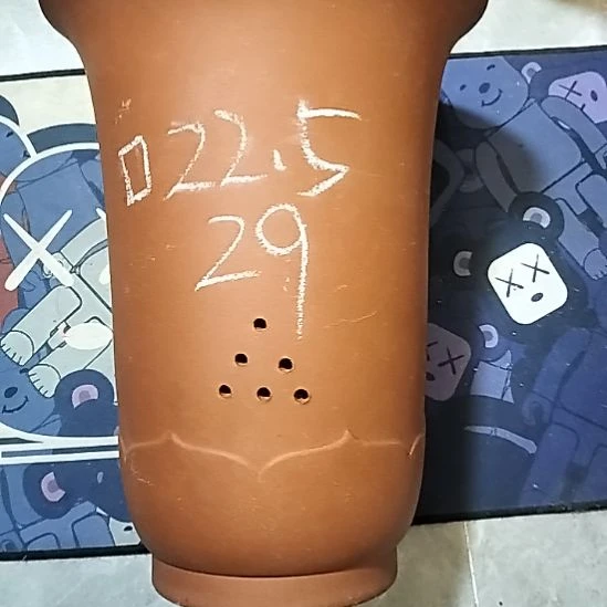 紫砂20CM（含）-50CM（不含）红泥莲花金钟微瑕一个