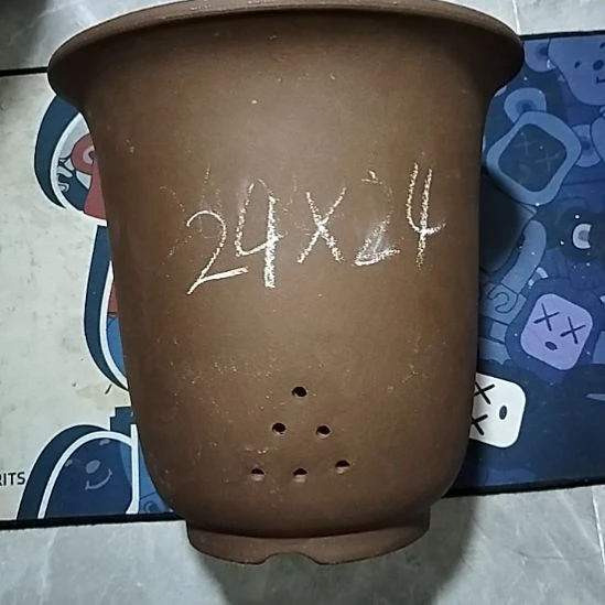 紫砂20CM（含）-50CM（不含）特大金钟瑕疵一个
