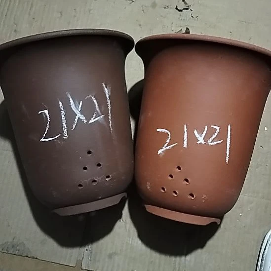 紫砂20CM(含)-50CM(不含)大红大紫金钟两个微瑕