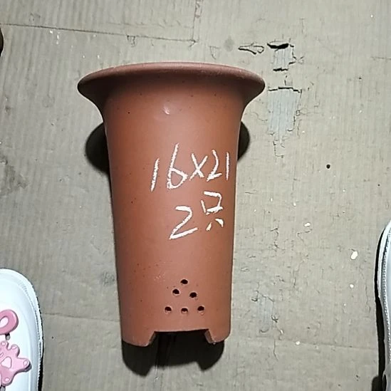 紫砂20CM（含）-50CM（不含）小红兰花两个微瑕