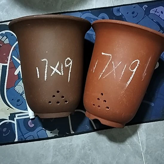 紫砂20CM（含）-50CM（不含）红泥紫泥小金钟两个瑕疵