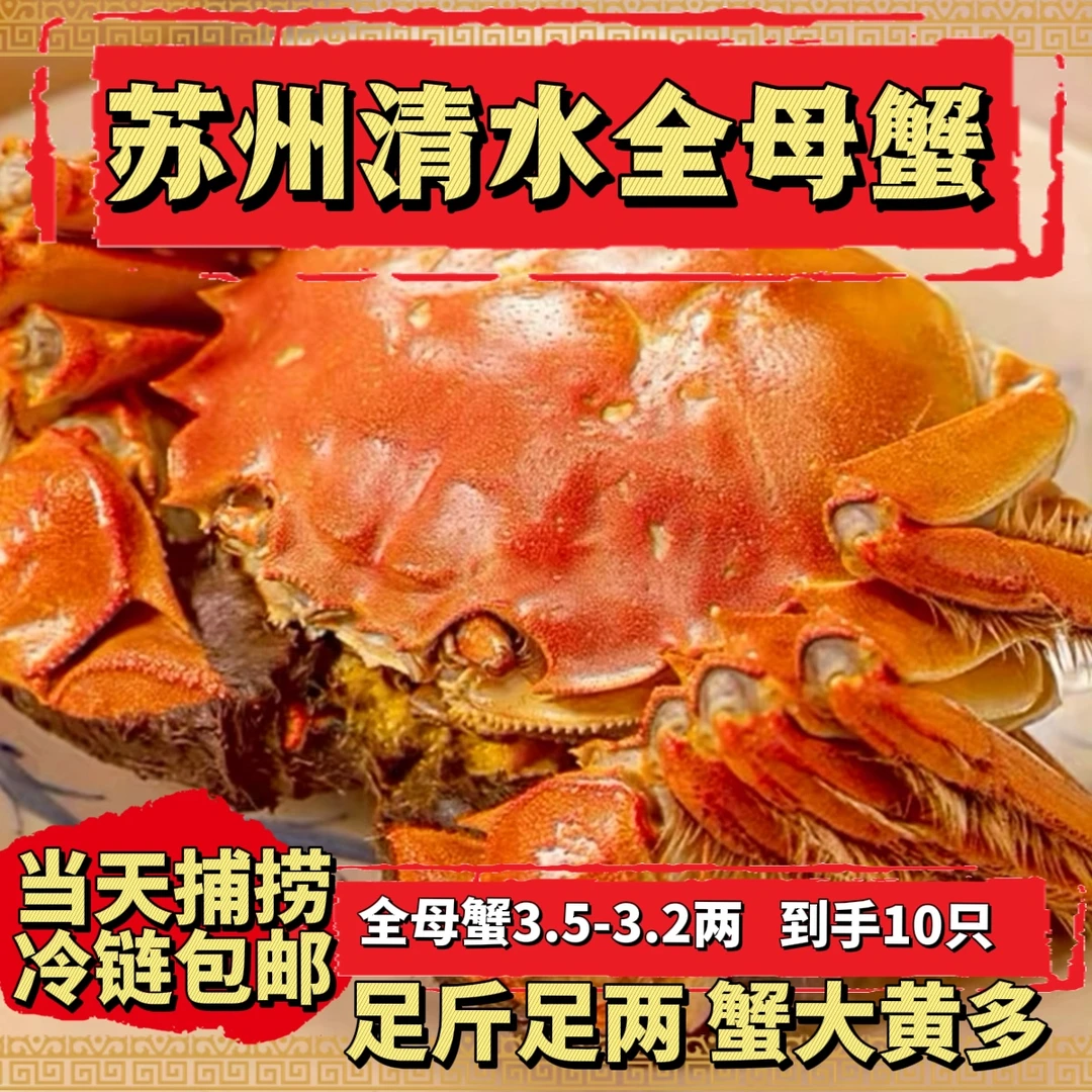 X【活蟹】苏州阳澄半高标准大全母清水蟹3.5-3.2两 买8送2 到手10只