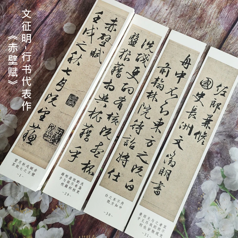 【老师同款】文征明行书前赤壁赋原大原碑贴31张毛笔临摹高清字卡