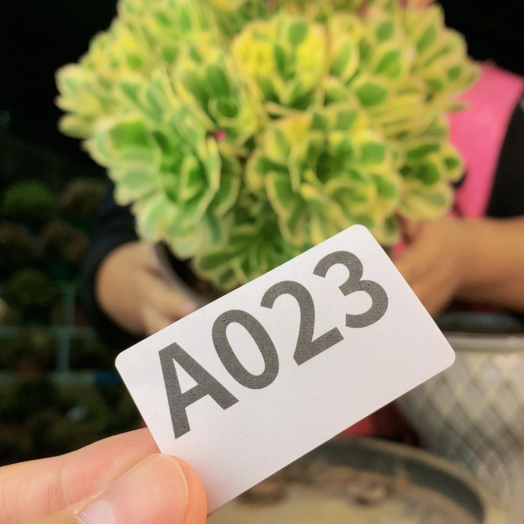 啊啊啊啊啊啊a a a 23