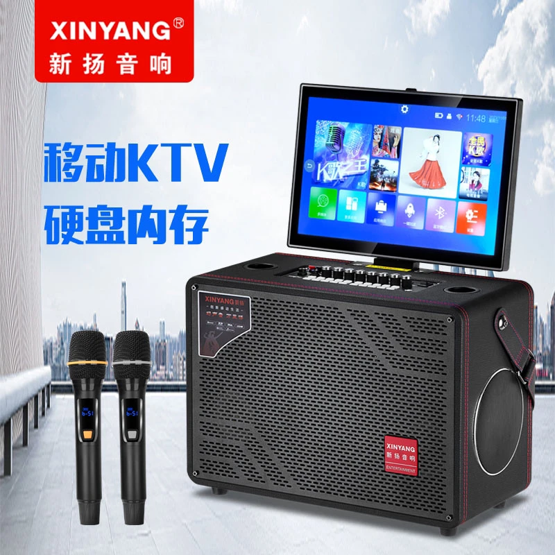 新扬XINYANG直播声卡大功率重低音蓝牙网络娱乐广场舞K歌视频音响