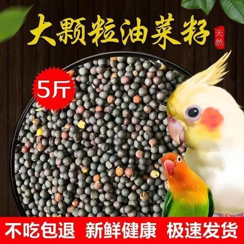 油菜籽榨油杂粮芙蓉鸟文鸟玉鸟虎皮牡丹虎皮鹦鹉鸟食鸽子粮饲料