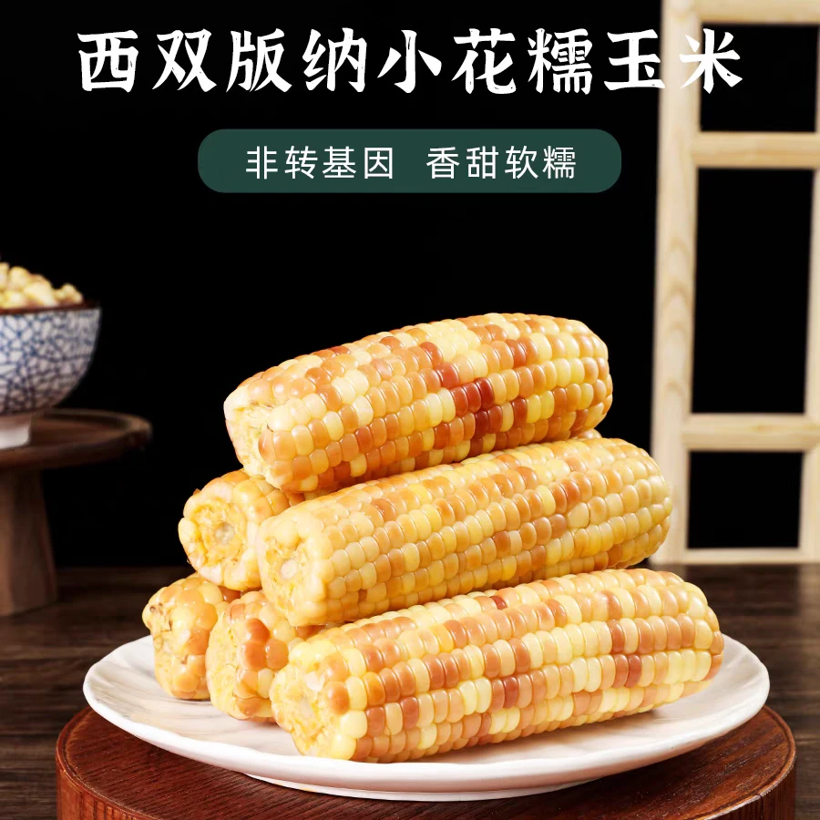 西双版纳拇指玉米甜糯软新鲜现摘真空包装早餐即食代餐包谷玉米棒