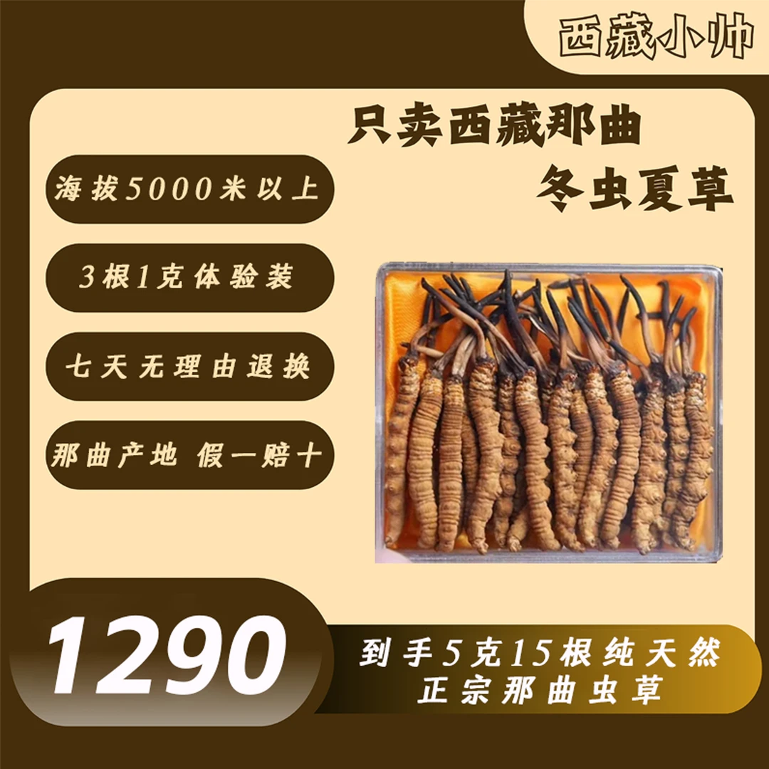 【西藏小帅】正宗西藏那曲高海拔精选冬虫夏草(3根/克）5克体验装