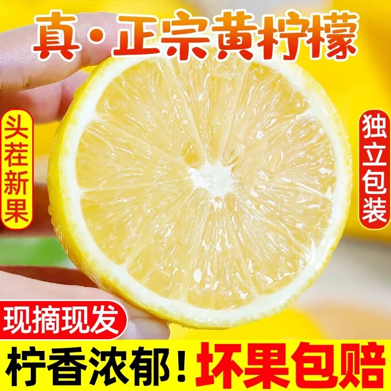 包邮I安岳黄柠檬15个单果80-100克皮薄多汁酸爽清香新鲜采摘现发