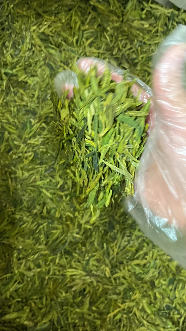 24新茶好喝龙白1-4-6#XST（100）不送杯