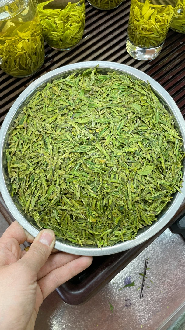 2023新茶龙井43豆香馥郁400一斤