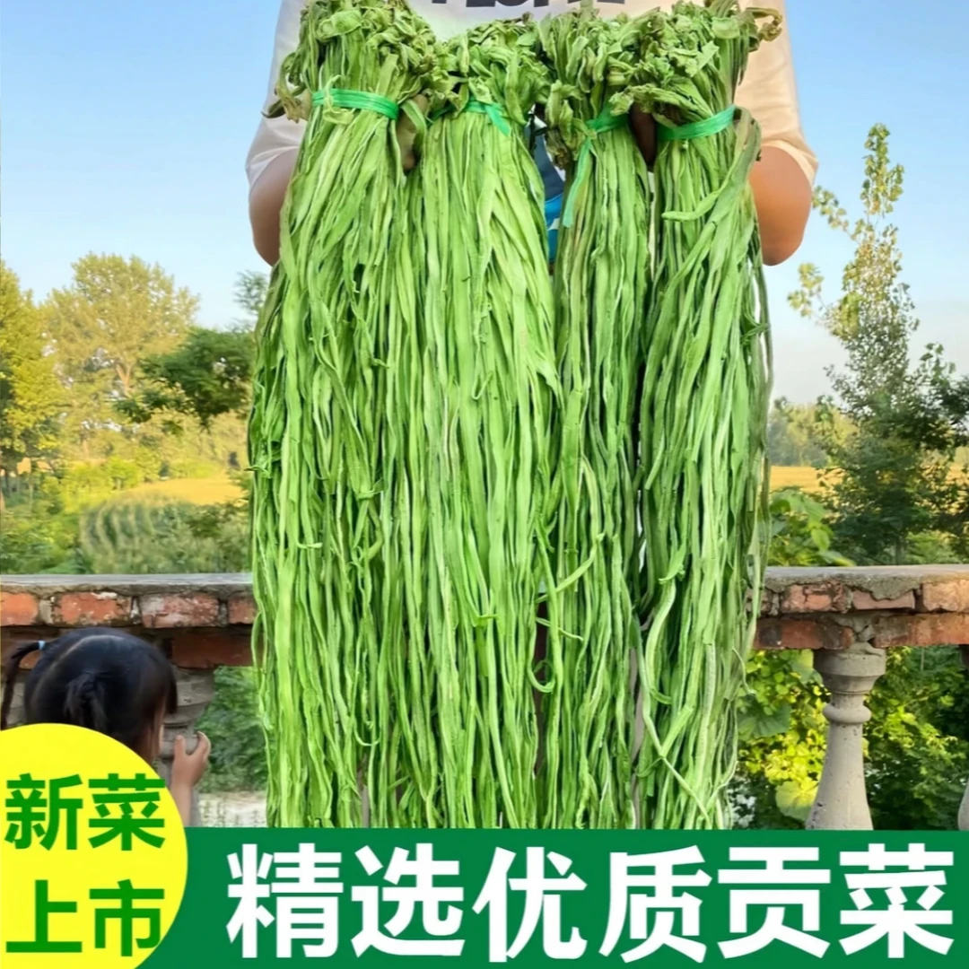 农家日晒精品贡菜干响菜新鲜贡菜非莴苣干货食材苔菜干