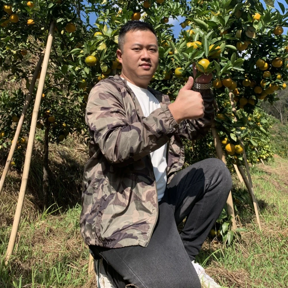 广东皇帝柑大果新鲜当季正宗贡柑黄帝柑橘子水果10斤装