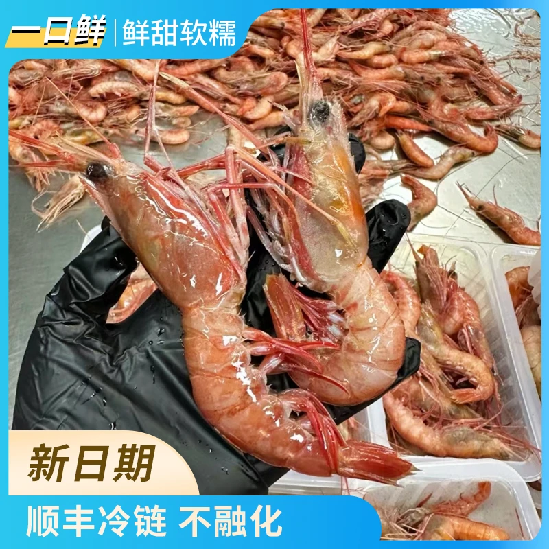东海红虾船冻锁鲜红头虾海鲜新鲜野捕鲜甜台州