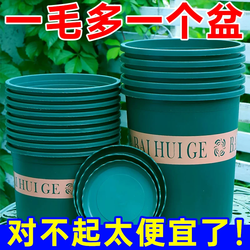 新款加仑花盆加厚塑料简约多肉小盆阳台客厅月季玫瑰大号绿萝盆栽