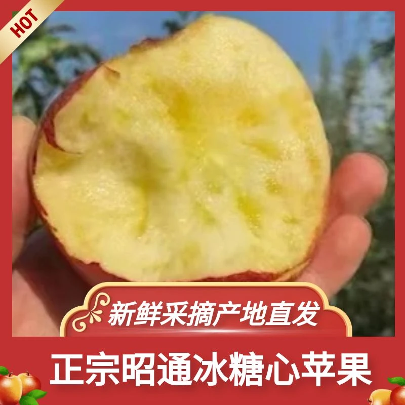 云南昭通早熟富士糖心苹果5斤9斤装装现摘新鲜营养甜脆甜精品