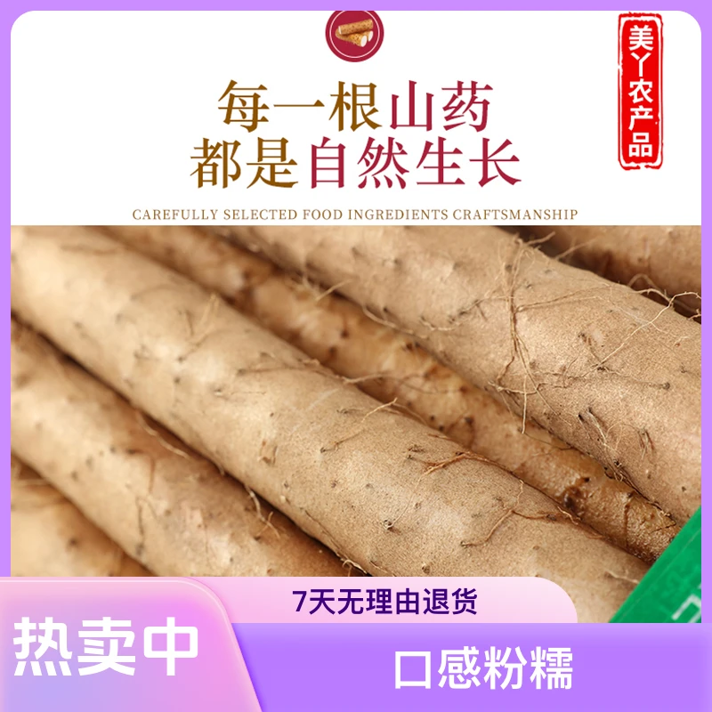 铁棍山药软糯香甜营养高产地直发新鲜精品特大果70-80公分山药