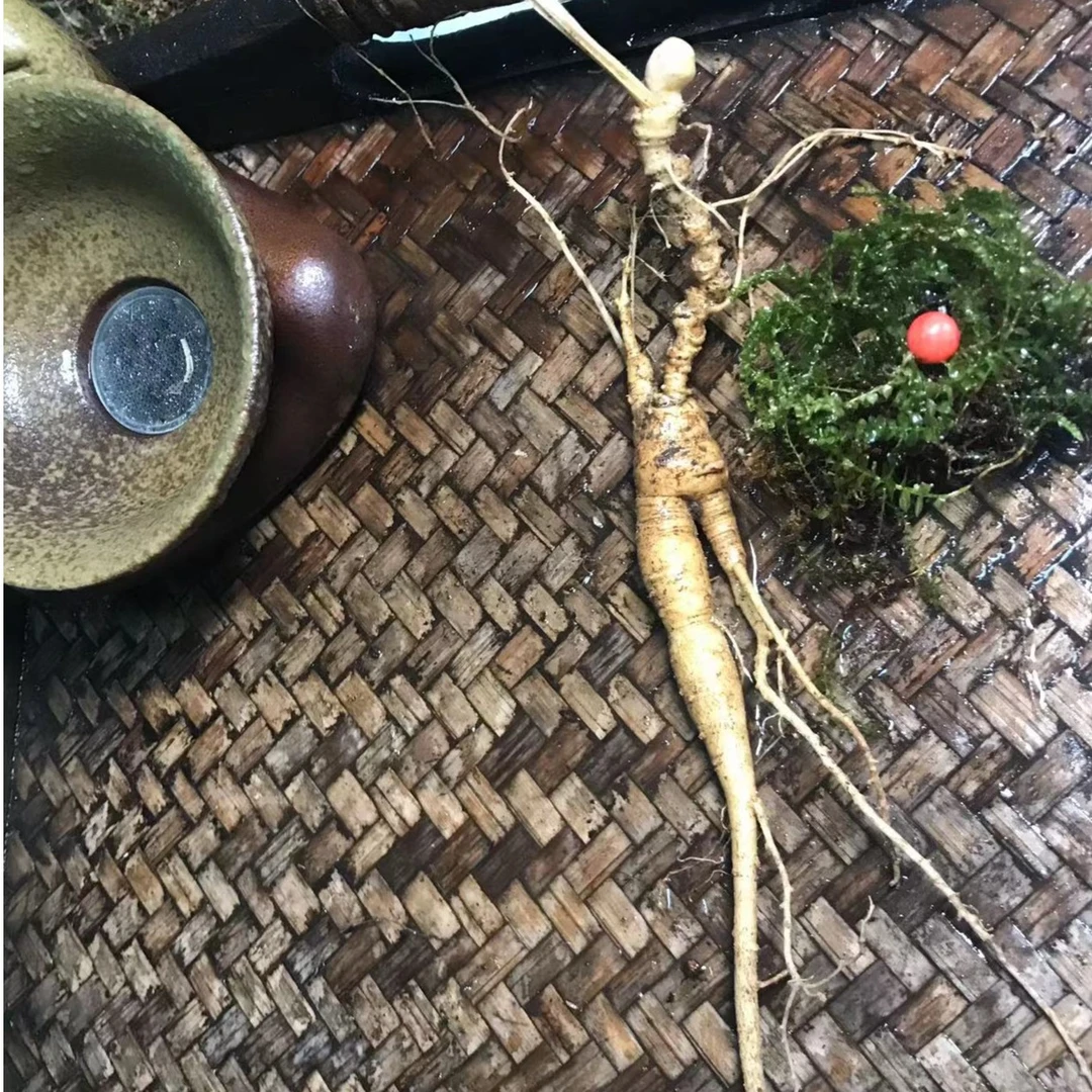 长白山人参 东北山参 改价链接