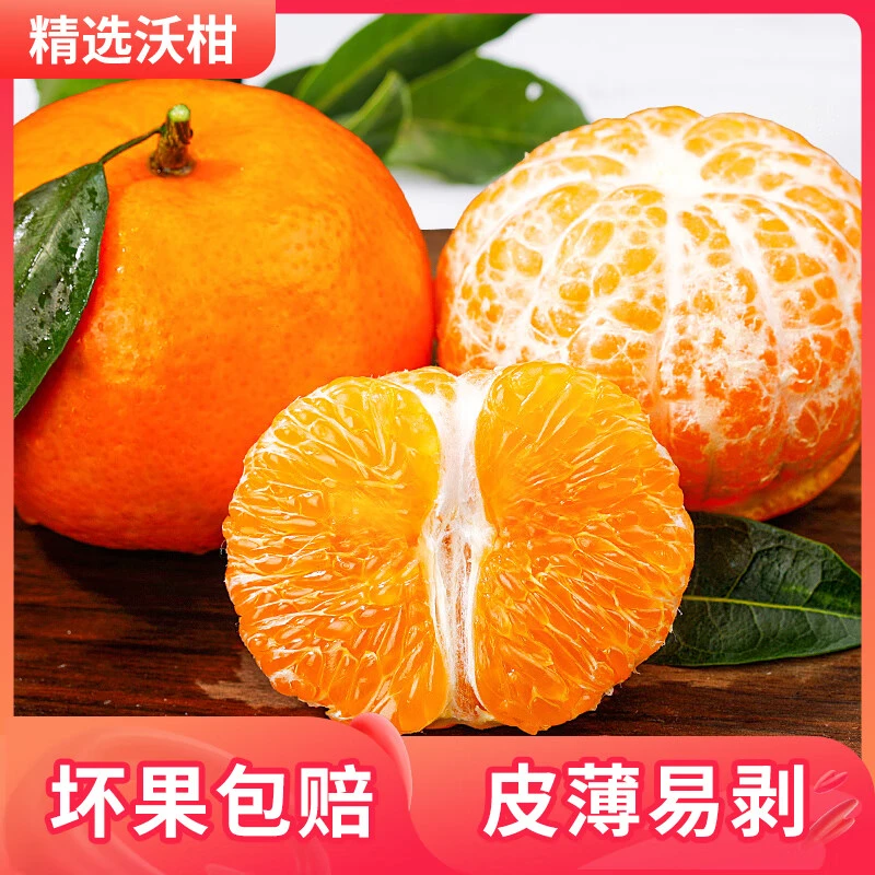 【精选】广西沃柑当季高品质现摘现发香甜柑子新鲜水果肉厚皮薄爆甜