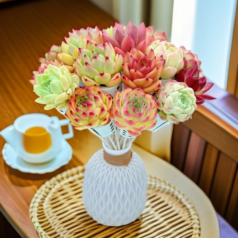 无土多肉花束组合(20支