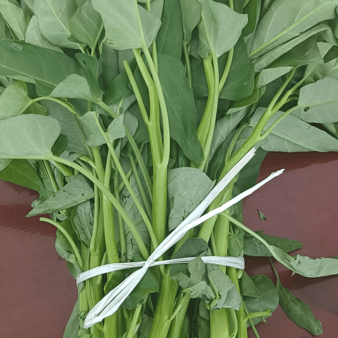 农家爷爷奶奶自种菜试吃版