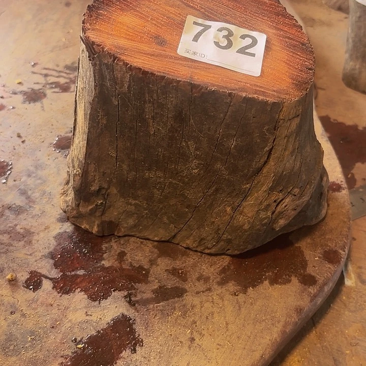 大果紫檀（缅甸花梨）情*