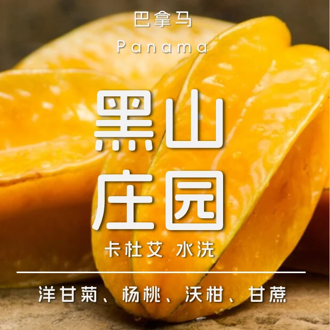 巴拿马黑山庄园 卡杜艾水洗BOP-V03同批新鲜烘焙手冲咖啡豆可磨粉