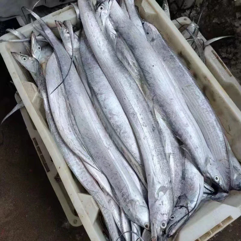 (精品大钓带)全麟厚带鱼 送人自己吃首选