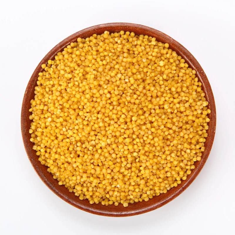 晋兴红吕梁兴县特产绿色小米500g*5袋/箱山西黄小米