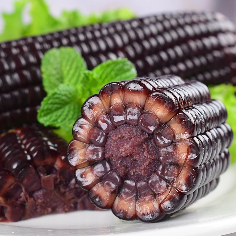 辽宁沈阳黑糯玉米黑糯玉米XH