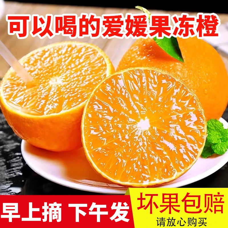 JF【香甜多汁】带箱5斤爱媛38号果冻橙精品大果到手8-15个