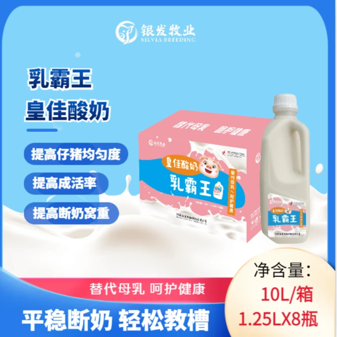 【仔猪】酸奶 乳霸王酸奶 皇佳酸奶
