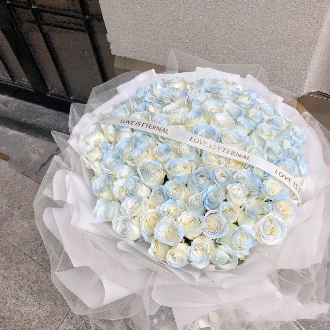 蓝色天空-99朵碎冰蓝精美鲜花生日礼物惊喜花店送花上门免费配送网红爆款送老婆送女朋友表白入