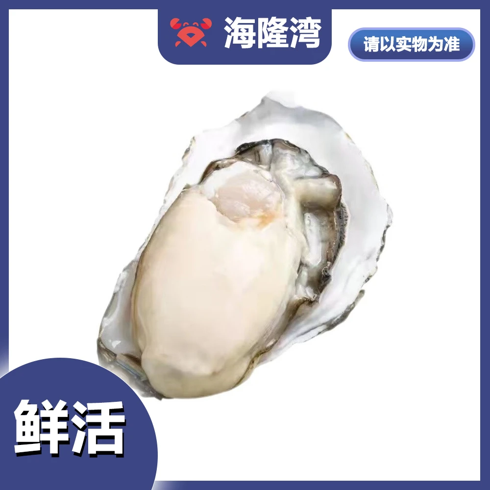 乳山生蚝-默认帮开