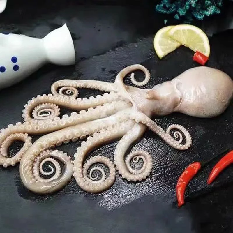 （冰鲜）青岛本地原汁八爪鱼一斤500g 约2-3条（备注可处理）默认不处理