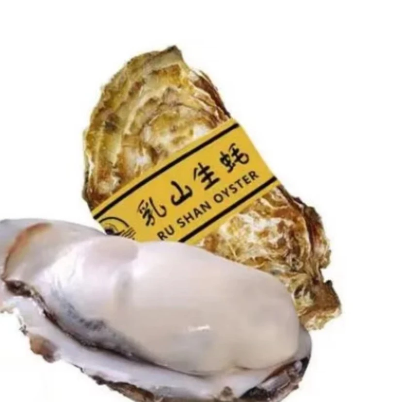 (鲜活)乳山生蚝(单只约5-6两)2只