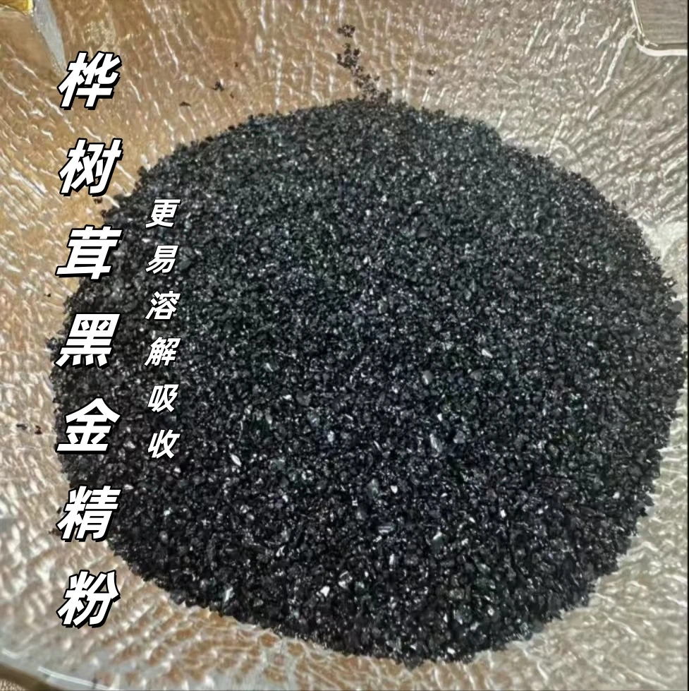 【桦树茸-黑金粉】正宗黑金子好物 桦树茸黑金精粉颗粒 食用农产品