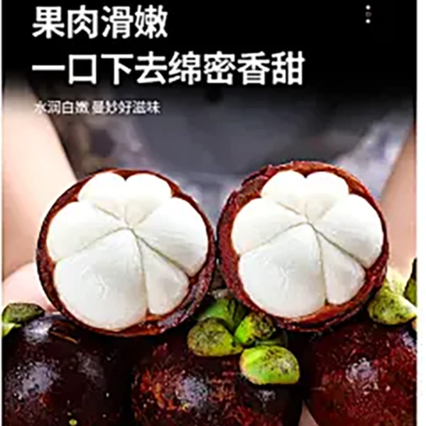 【榴金果园】新品上架级泰国鲜山竹1斤装