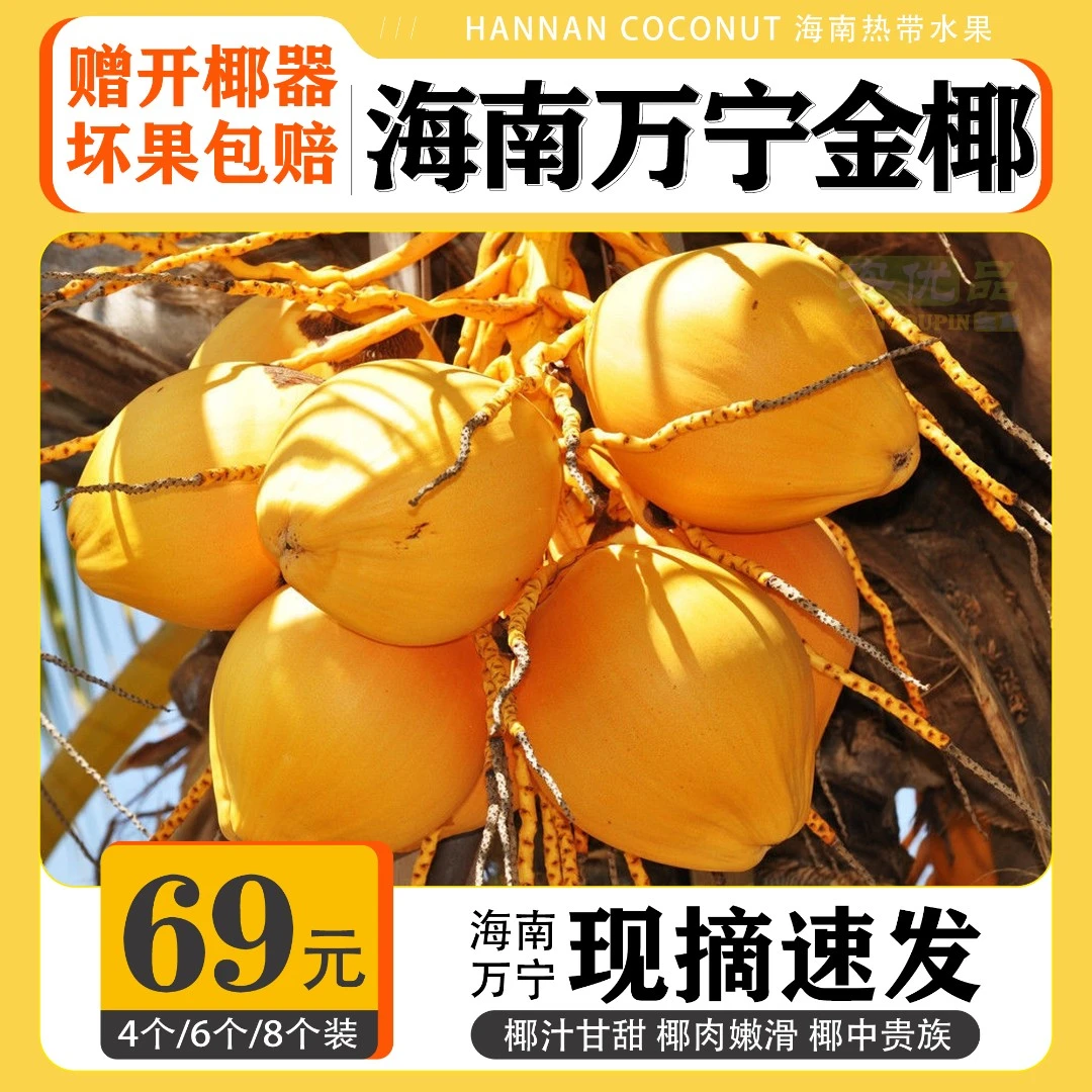 海南万宁黄金椰新鲜现摘带皮金椰子椰青孕妇羊水果整箱4/6/8个装